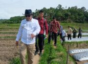 Kunjungi Nagari Gunung Rajo, Bupati Eka Putra Merasa Sangat Surprise