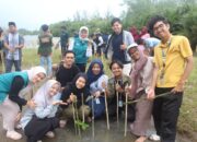 Aksi Naturavita x EnviroXplore: 500 Bibit Mangrove + 37 Bibit Pinago Ditanam di Kawasan Pantai Jambak Padang