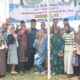 Masrisal Dorong Nagari Mandiri dan Partisipatif Lewat Sosialisasi Perda Pemberdayaan Masyarakat