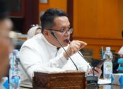 Ahmad Fadly : Stunting Bukan Hanya Masalah Kesehatan