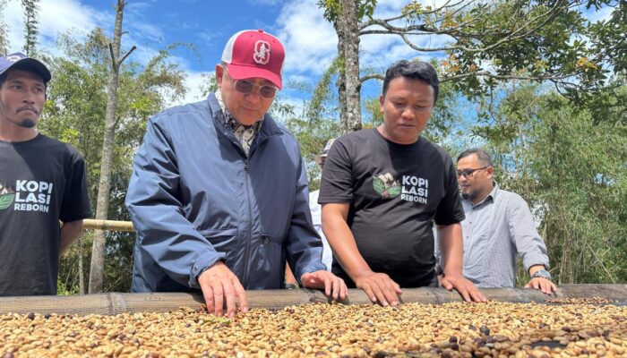 Senator Irman Gusman Puji Cita Rasa Kopi Lasi, Simbol Kebangkitan Ekonomi Nagari
