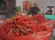 Pasokan Meningkat, Cabai Merah Turun Harga