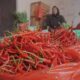 Pasokan Meningkat, Cabai Merah Turun Harga
