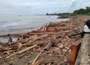 Bencana Banjir Sumbar Disebabkan Juga Karena Pembalakan