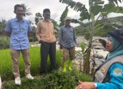 Wakil Bupati Solok Tinjau Lokasi Jalan Putus di Nagari Lolo, Akses Warga Mulai Dipulihkan