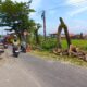 Anggota DPRD Meradang, Kecam Penebangan Pohon Tanpa Koordinasi di Jalur Jalan Raya Parak Laweh Pulau Aia Nan XX