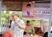 Muhidi Dorong KWT Pauh Tingkatkan Produktivitas dan Ketahanan Pangan Keluarga