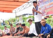 Pacu Jawi Kembali Menggema, Sawah Tangah Tegaskan Tradisi Bukan Sekadar Tontonan