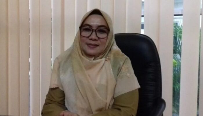 Diskominfo Solok Berbenah, Uci Fokus Perkuat Layanan Informasi Publik