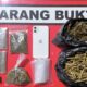Kasus Narkotika di Solok: FR (22) Diamankan dengan Barang Bukti Ganja