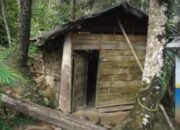 Menata Ulang Hunian, Meningkatkan Kualitas Hidup