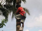 TMMD Buka Akses dan Harapan Baru bagi Penderes di Desa Krangean