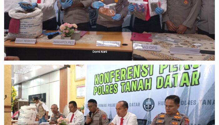 Polres Tanah Datar Bergerak Cepat: 15 Kg Sisik Trenggiling dan Ganja Digulung Sekaligus