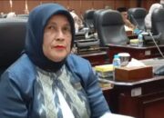 Lima Bulan Pascabencana, Endarmy Soroti Jembatan Anduriang Belum Diperbaiki