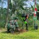 Tanam Bibit Pohon Jadi Simbol Kepedulian Lingkungan di Penutupan TMMD Desa Krangean