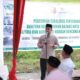 Pemko Solok Serahkan Bantuan Rehabilitasi Sawah Terdampak Banjir, Wako: Pertanian Jadi Prioritas Pemulihan