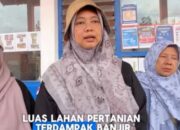 Dinas Pertanian Bergerak Cepat Data Kerusakan Pascabanjir