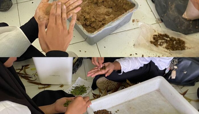 Bola Benih untuk Bumi: Aksi Mahasiswa Universitas Negeri Padang Pulihkan Hutan Pasca Bencana