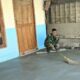 Ketelitian Demi Kualitas: Satgas TMMD 129 Bojonegoro Sulap Sapu Lidi Jadi Tekstur Lantai Aman dan Rapi