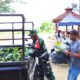 Perkuat Ketahanan Pangan: Satgas TMMD 129 Bojonegoro Pasok Ratusan Bibit Sayuran untuk Warga Kesongo