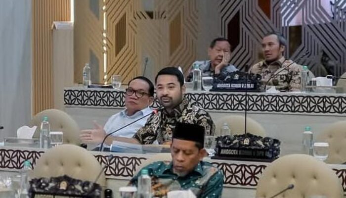 Zigo Rolanda Minta Pengawasan Pintu Tol Diperketat, Jangan Semua Kesalahan ODOL Dibebankan ke Sopir