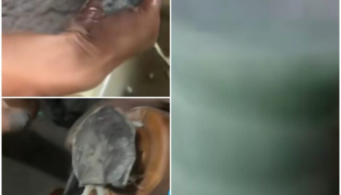 Pertalite Bercampur Semen Viral, Rahmat Saleh Minta SAM Pertamina Sumbar Bertanggung-jawab