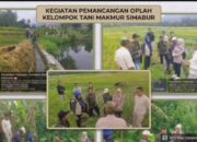 Oplah Mulai Bergulir di Simabur, Optimalkan Lahan dan Dongkrak Produktivitas Petani