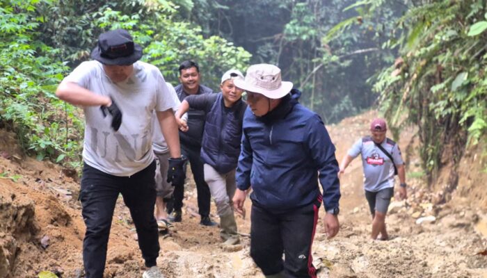 Pendulang Emas Tradisional di Solsel Tertimbun Longsor
